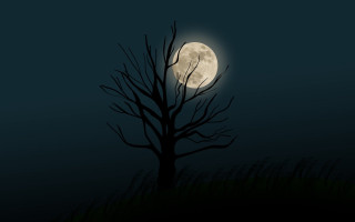 Bare tree night full moon - clark voorhees free wallpaper