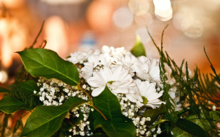 White flower bouquet shallow depth - a bouquet free wallpaper