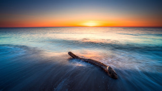 Log ocean sunset planet sky - sunrise time free wallpaper