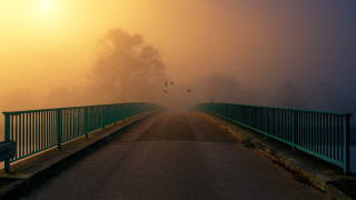 Foggy bridge bench birds cityscape - bird free wallpaper