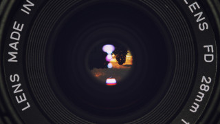 Lens tree fisheye beeple microscopic - a len free wallpaper