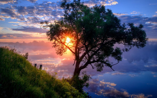 Hill sunset tree clouds beach - arthur quartley free wallpaper