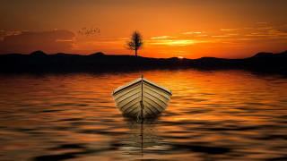 Sunset lake boat tree bird - over the water free wallpaper