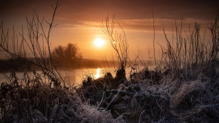 Sunset lake bushes birds forest - a few bird free wallpaper