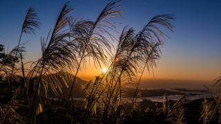 Sunset grass mountain clouds bamboo - a few tall grass free wallpaper