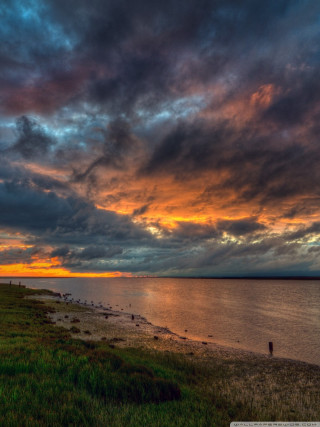 Sunset water person walking shore - the grass free wallpaper