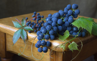 Grapes leaves wooden table butterfly - a bunch of grapes free wallpaper