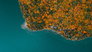 Boat trees autumn leaves sky - color free wallpaper
