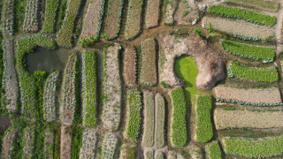 Field pond rock grass dirt - a large rock in the middle of it free wallpaper