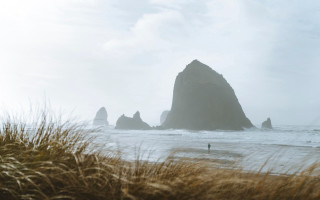 Beach rock formation tiltshift portrait - a beach near the ocean free wallpaper