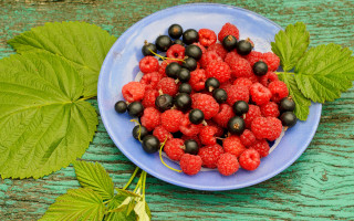 Berries leaves plate table outdoors - betty merken free wallpaper