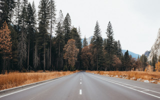 Road trees mountain sky nature - both side of it free wallpaper
