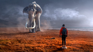 Man elephantstatue field cloudy sunset - a cloudy day free wallpaper