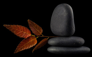 Leaf rocks reflection minimalism 3D - anne geddes free wallpaper