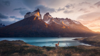 Llama lake mountains sunset clouds - chris labrooy free wallpaper