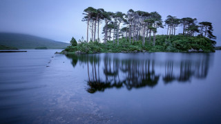 Lake foggy island reflection starry - a foggy sky above free wallpaper