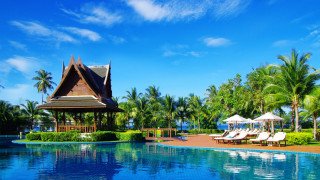 Resort pool lounge chairs umbrellas 3 - palm tree free wallpaper