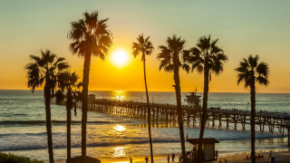 Pier palm trees sunset beach - palm tree and a sunset in the background free wallpaper