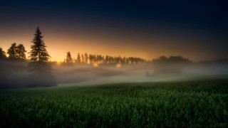 Foggy sunset mountain lake forest - volumetric fog free wallpaper