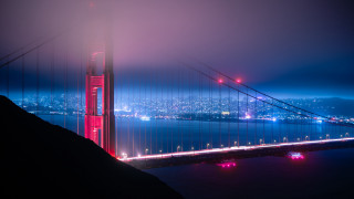 Bridge city night fog neon - night time free wallpaper for desktop