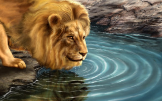 Lion standing water reflection camera - digital painting free wallpaper