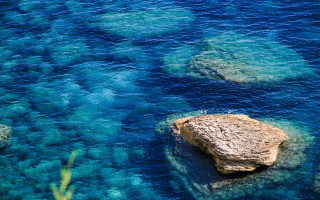 Rock water plant beach ocean - impressionist free wallpaper