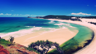 Beach sandy shore ocean trees - sandy free wallpaper