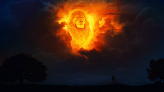 Lion cloud sky trees person - sky free wallpaper