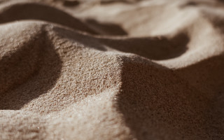 Sand dune bird hat sky - a small bird free wallpaper