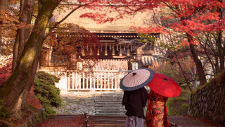 Fall umbrella path japanese architecture - the fall season free wallpaper