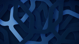 Blue abstract trees branches dark - blue background free wallpaper