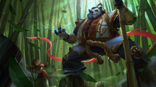 Jungle cat weapon bamboo forest - a staff free wallpaper