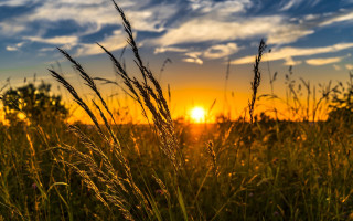 Sunset grass hill clouds embers - bernd fasching free wallpaper for desktop
