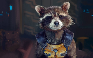 Raccoon leather outfit helmet chest - a raccoon free wallpaper