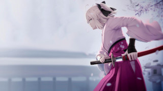 Pink dress sword cat tree - her hand and a cat free wallpaper