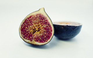 Half figurine macro food gradient - a white surface free wallpaper