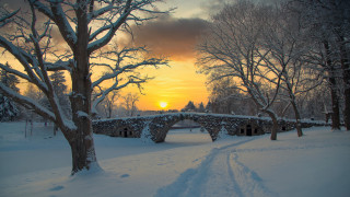 Snowy bridge dusk forest mountain - tree and a sunset in the background free wallpaper