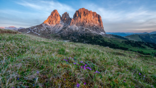 Grassy field flowers mountains sunset - a grassy field free wallpaper