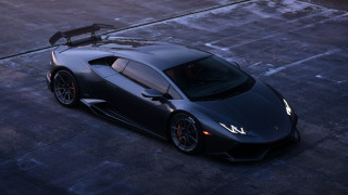 Black sports car bird roof - matte finish free wallpaper