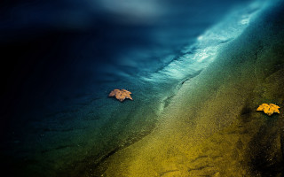 Leaf water rainbow blue sky - a leaf free wallpaper