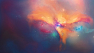 Space bird colorful nebula fireworks - color scheme free wallpaper