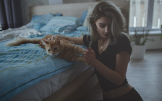 Woman petting cat bedroom blue - a large window free wallpaper