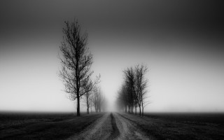 Dirt road field trees distance - chris friel free wallpaper