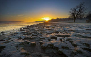 Snowy beach dusk trees water - crepuscular ray free wallpaper