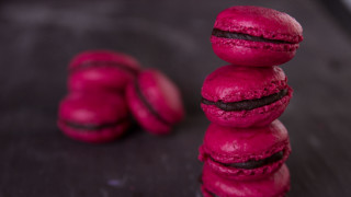 Pink macaroons table blurry flower - neofauvism free wallpaper
