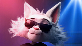 Cat sunglasses tshirt staring brightlight - shirt free wallpaper for desktop