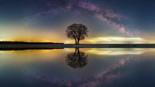Tree lake night sky stars - the middle of a lake free wallpaper