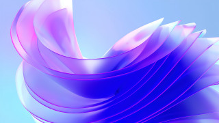 Flower blue pink white lightblue - blue center free wallpaper