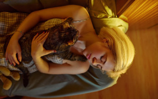 Woman bed cat teddy blonde - canon 5 0 mm free wallpaper