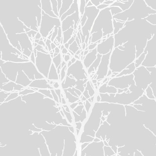 White tree no leaves gray - free textures wallpaper